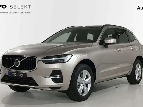 Annonce VOLVO XC60 Diesel 2024 d'occasion 