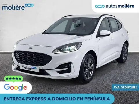 Annonce FORD KUGA Essence 2023 d'occasion 