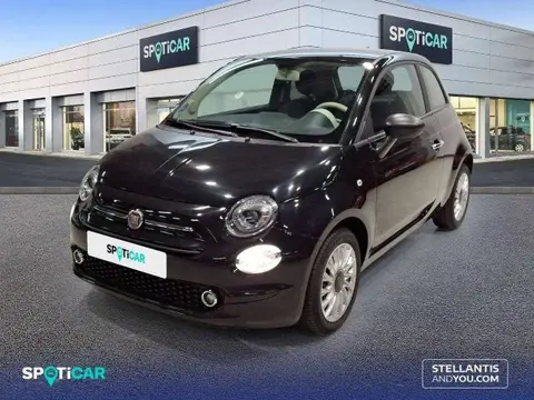 Used FIAT 500 Petrol 2023 Ad 