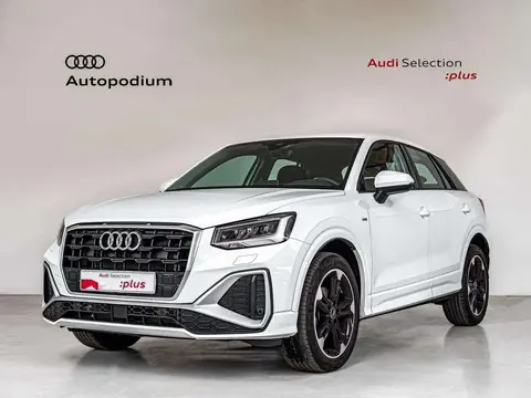 Annonce AUDI Q2 Diesel 2024 d'occasion 