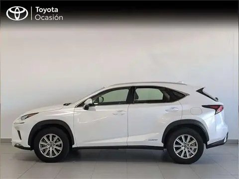 Used LEXUS NX Hybrid 2019 Ad 