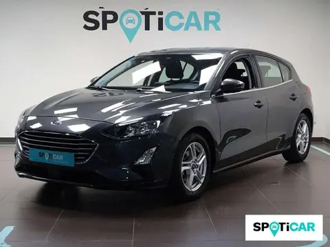 Used FORD FOCUS Petrol 2019 Ad 