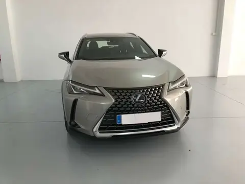 Annonce LEXUS UX Électrique 2020 d'occasion 