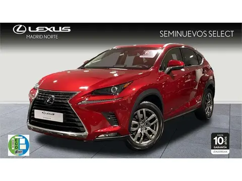 Used LEXUS NX Petrol 2019 Ad 