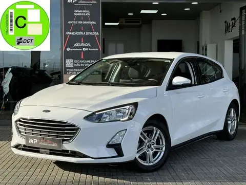 Annonce FORD FOCUS Diesel 2019 d'occasion 