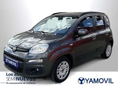 Annonce FIAT PANDA Essence 2019 d'occasion 