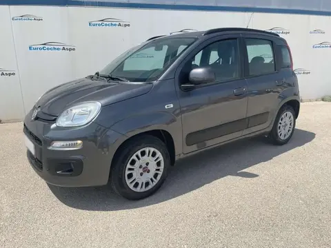 Used FIAT PANDA Petrol 2019 Ad 