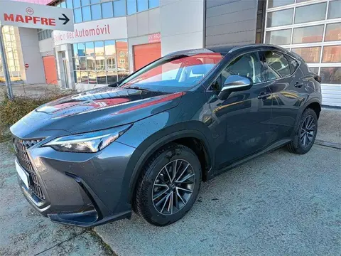 Used LEXUS NX Hybrid 2023 Ad 