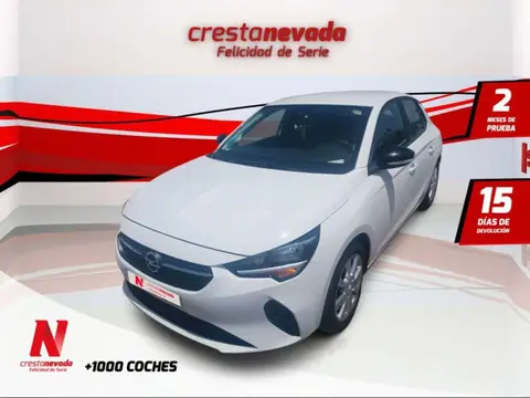 Annonce OPEL CORSA Essence 2022 d'occasion 