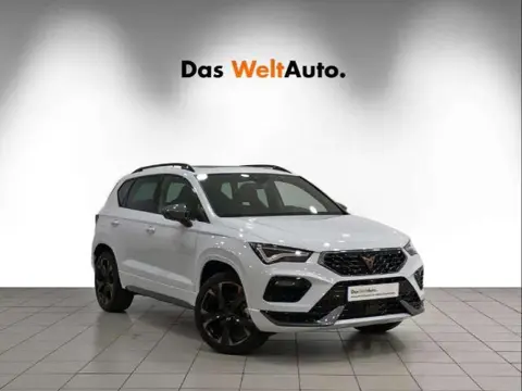 Annonce CUPRA ATECA Essence 2024 d'occasion 