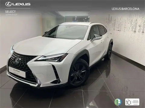 Used LEXUS UX Hybrid 2021 Ad 