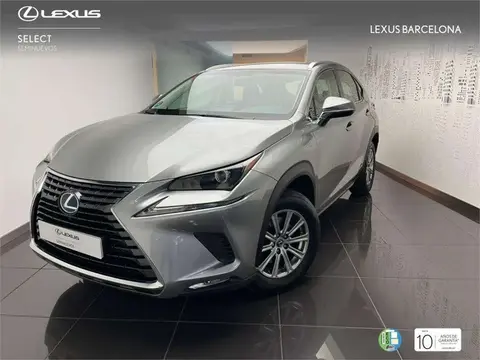 Annonce LEXUS NX Hybride 2018 d'occasion 