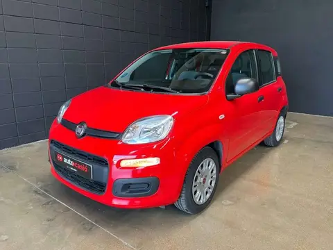 Used FIAT PANDA Petrol 2022 Ad 