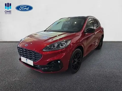 Used FORD KUGA Hybrid 2023 Ad 