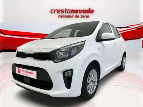 Used KIA PICANTO Petrol 2022 Ad 