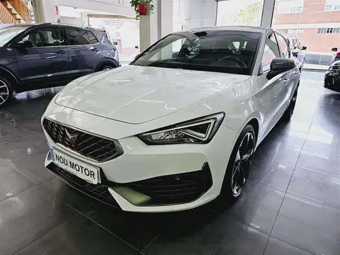 Used CUPRA LEON Petrol 2023 Ad 