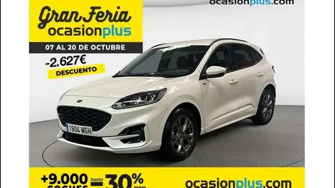 Used FORD KUGA Hybrid 2023 Ad 