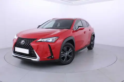 Used LEXUS UX  2023 Ad 