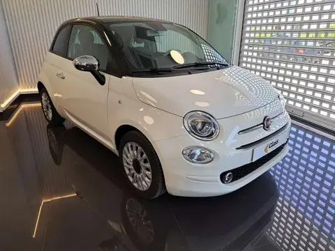 Used FIAT 500 Petrol 2023 Ad 