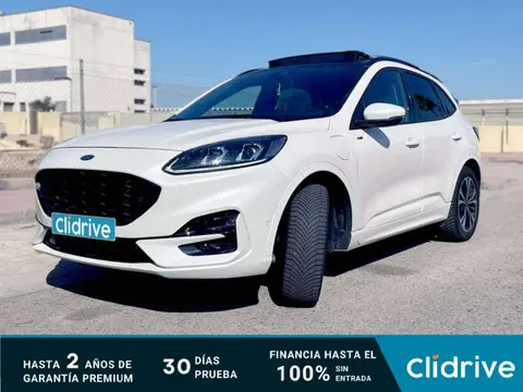 Used FORD KUGA  2021 Ad 