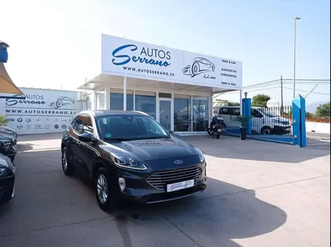 Annonce FORD KUGA Essence 2023 d'occasion 