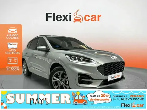 Used FORD KUGA Hybrid 2023 Ad 