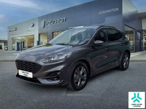 Annonce FORD KUGA Hybride 2021 d'occasion 