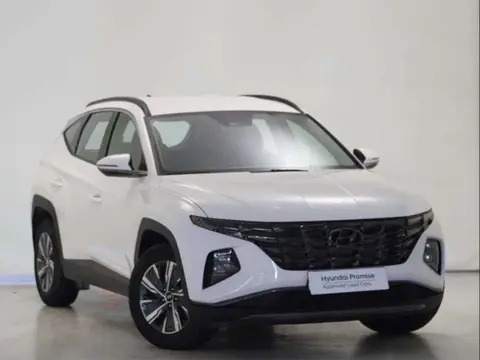 Used HYUNDAI TUCSON Petrol 2023 Ad 