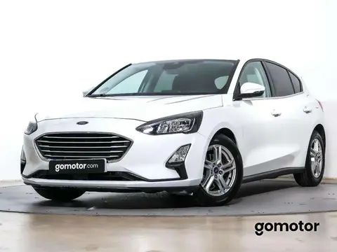 Used FORD FOCUS  2021 Ad 