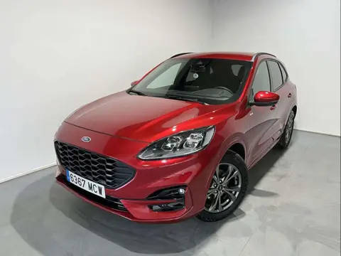 Annonce FORD KUGA Essence 2022 d'occasion 