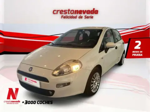 Annonce FIAT PUNTO Diesel 2015 d'occasion 