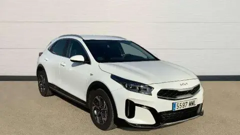 Used KIA XCEED Petrol 2023 Ad 