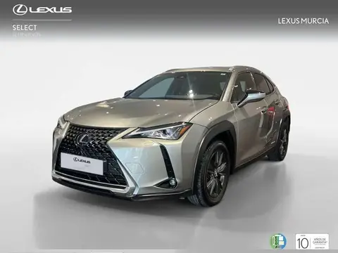 Used LEXUS UX Petrol 2020 Ad 