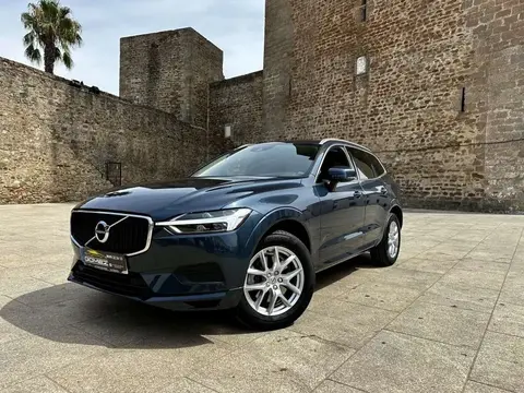 Annonce VOLVO XC60 Diesel 2020 d'occasion 