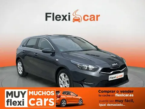 Used KIA CEED Petrol 2023 Ad 