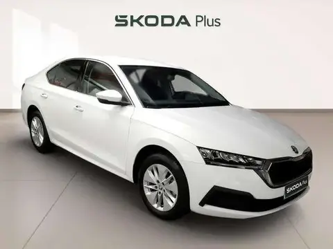 Annonce SKODA OCTAVIA Diesel 2024 d'occasion 