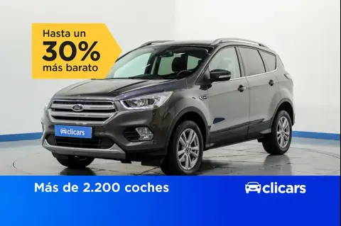 Used FORD KUGA Petrol 2019 Ad 