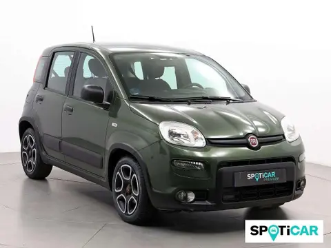 Annonce FIAT PANDA Hybride 2021 d'occasion 