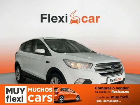 Used FORD KUGA Petrol 2019 Ad 