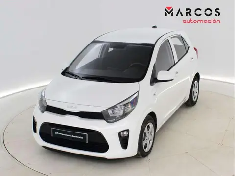 Annonce KIA PICANTO Essence 2023 d'occasion 