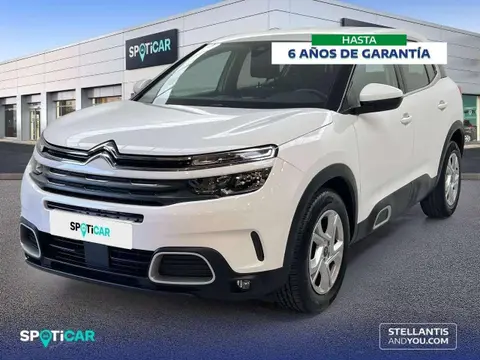 Used CITROEN C5 AIRCROSS Diesel 2020 Ad 