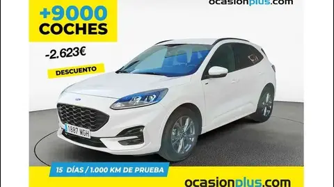 Annonce FORD KUGA Hybride 2023 d'occasion 