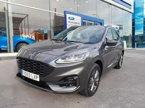 Annonce FORD KUGA Hybride 2022 d'occasion 