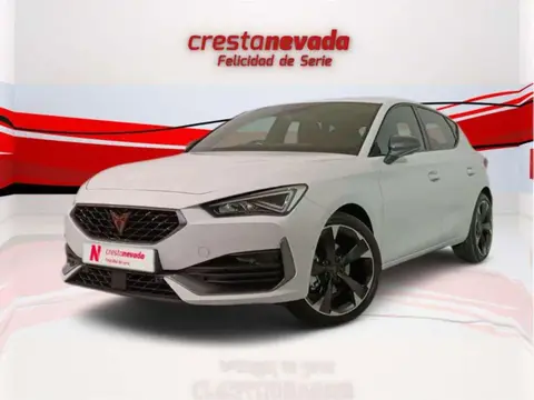 Annonce CUPRA LEON Essence 2024 d'occasion 