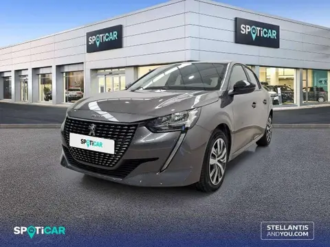 Used PEUGEOT 208 Petrol 2023 Ad 