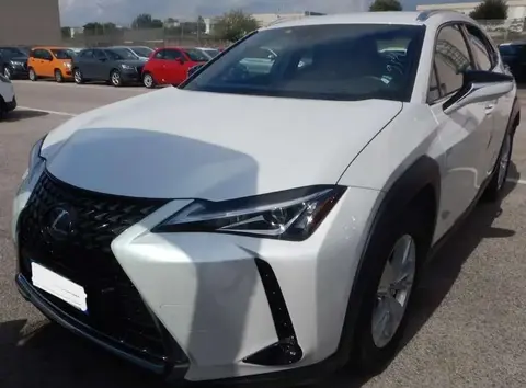 Annonce LEXUS UX Hybride 2021 d'occasion 