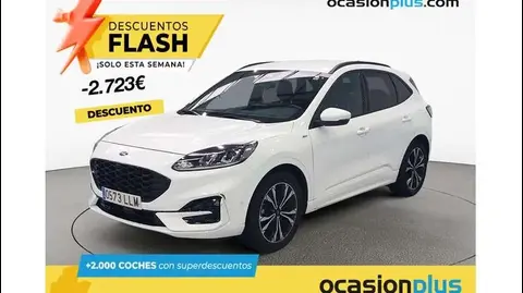 Annonce FORD KUGA Diesel 2020 d'occasion 