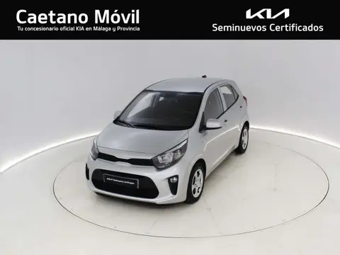 Used KIA PICANTO Petrol 2023 Ad 