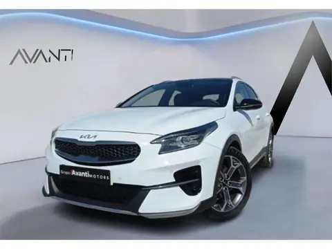 Annonce KIA XCEED Essence 2022 d'occasion 