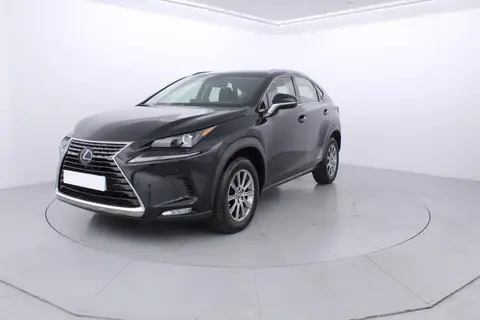 Annonce LEXUS NX Hybride 2019 d'occasion 